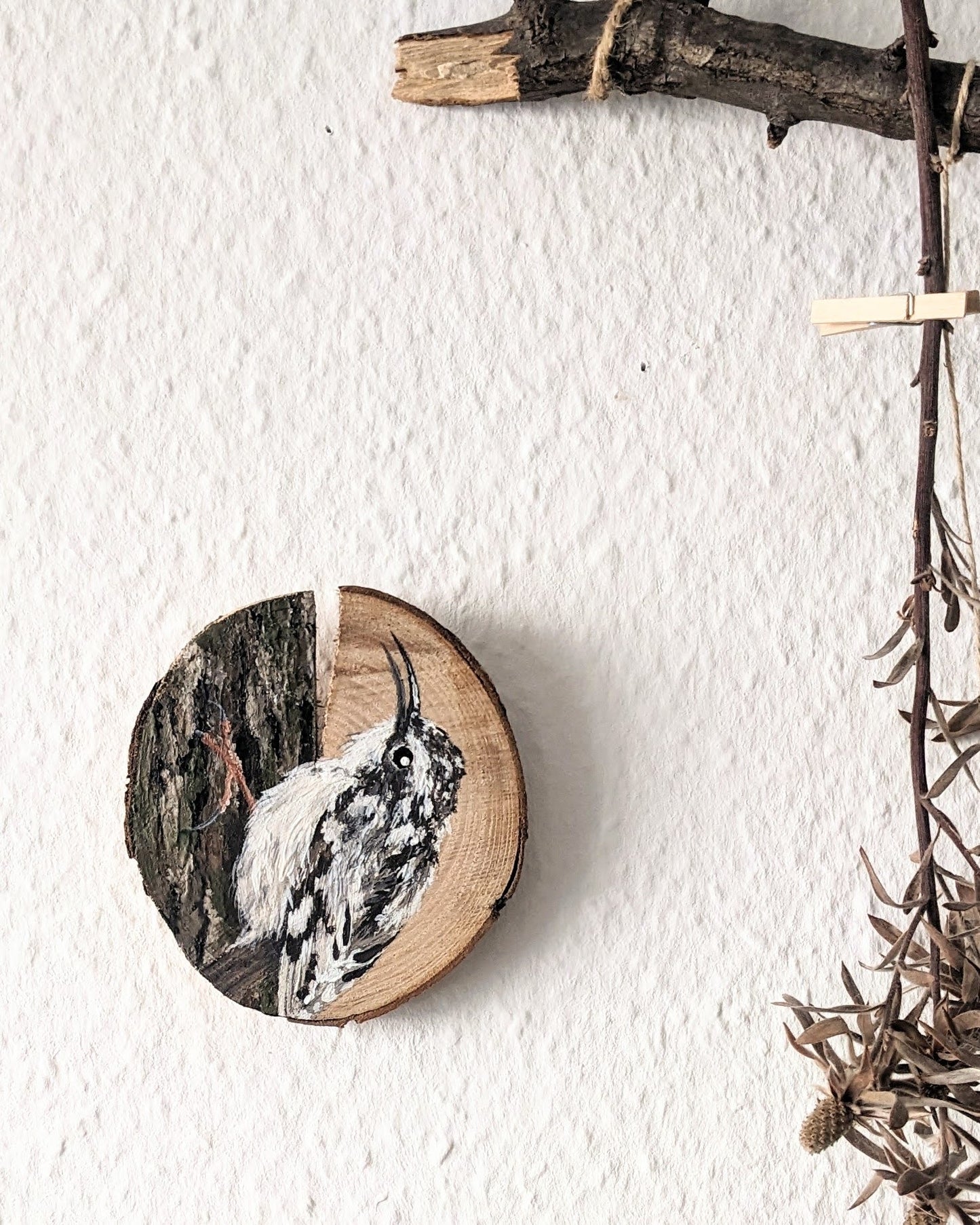 Tree Creeper