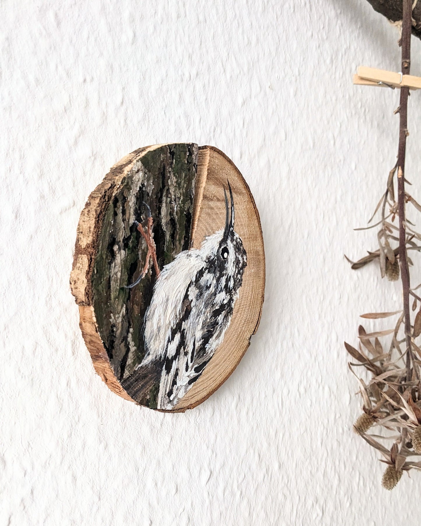 Tree Creeper