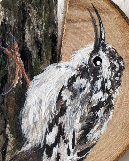 Tree Creeper