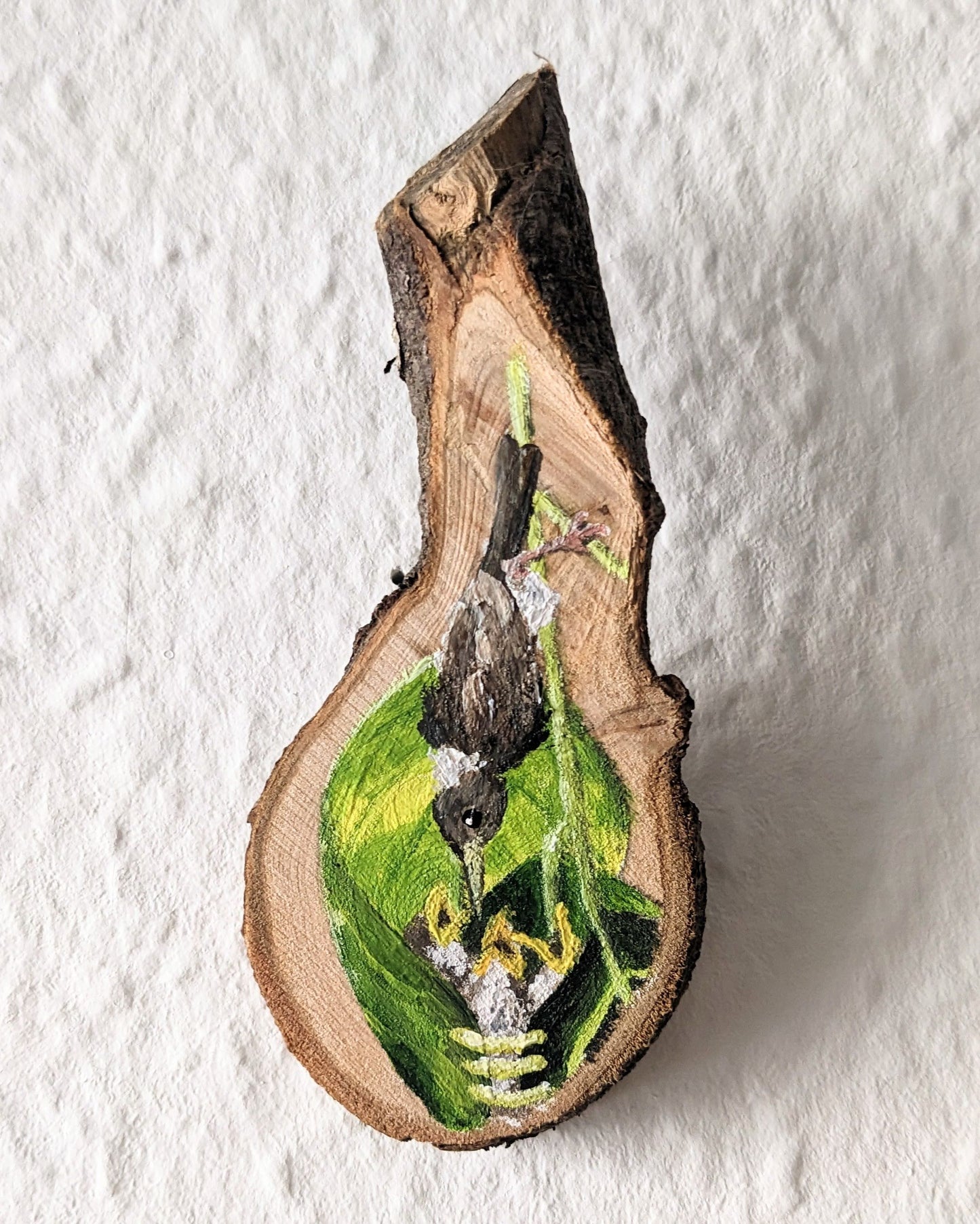 Tailorbird