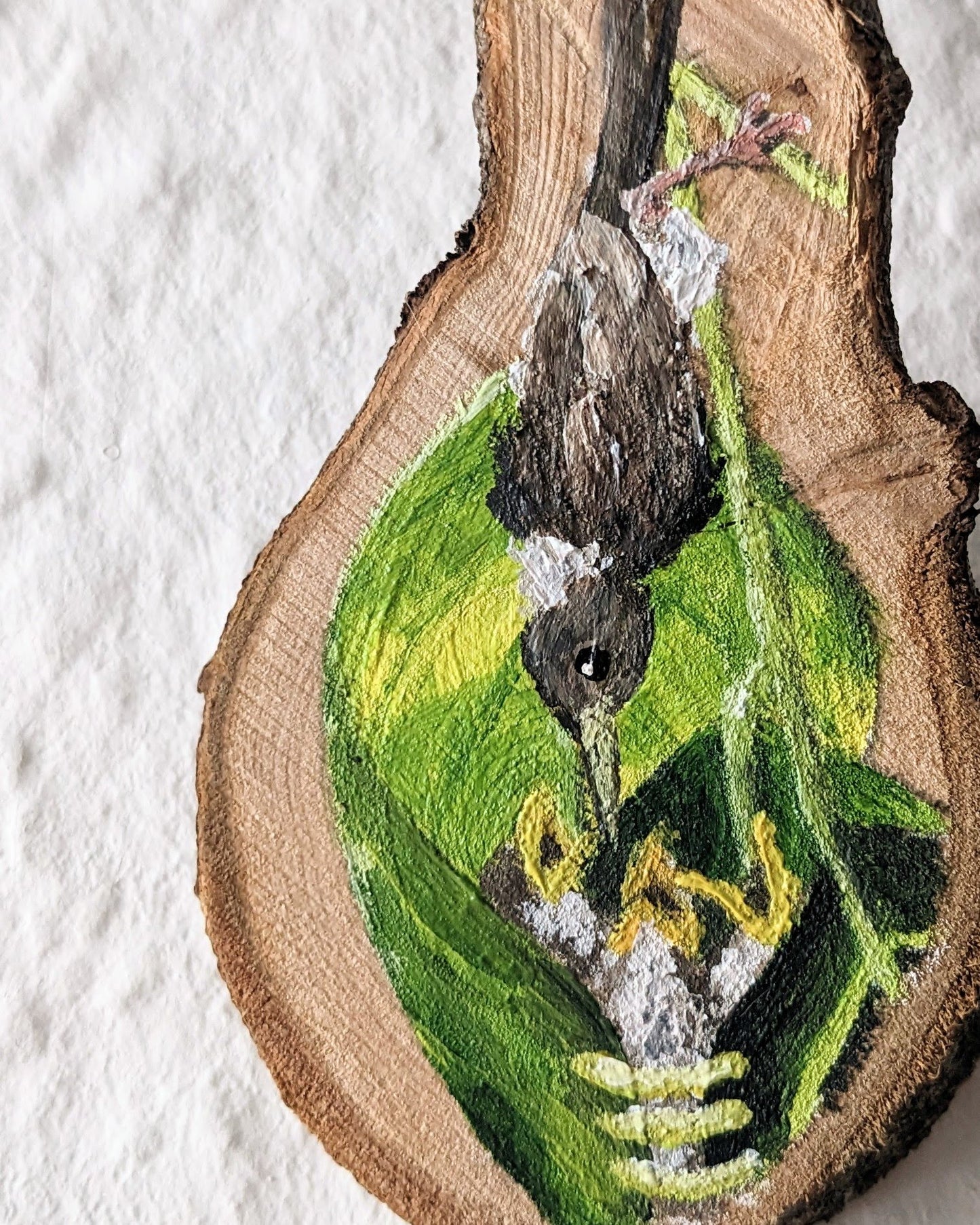 Tailorbird