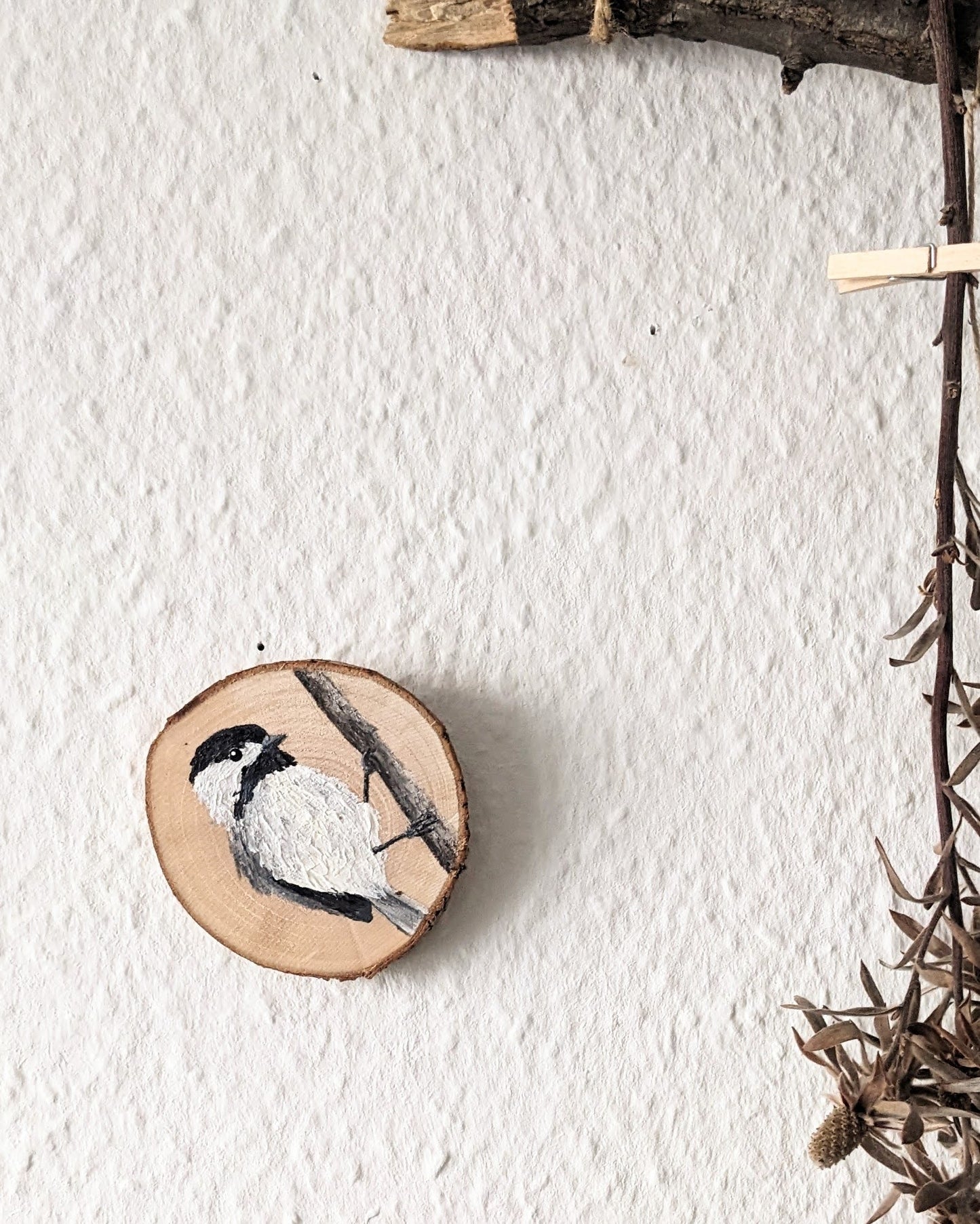 Black Capped Chickadee
