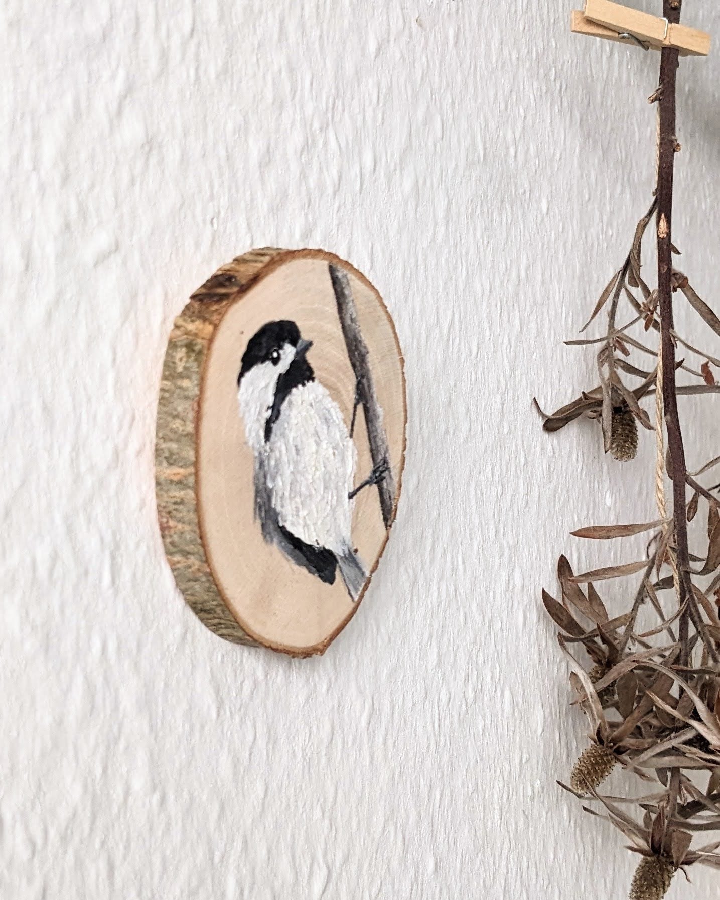 Black Capped Chickadee
