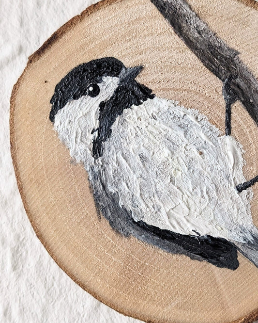 Black Capped Chickadee