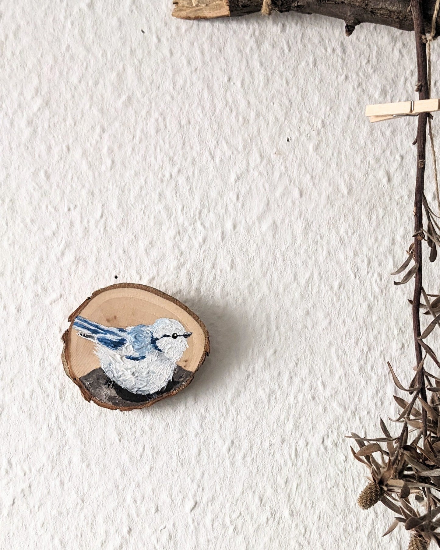 Azure Chickadee