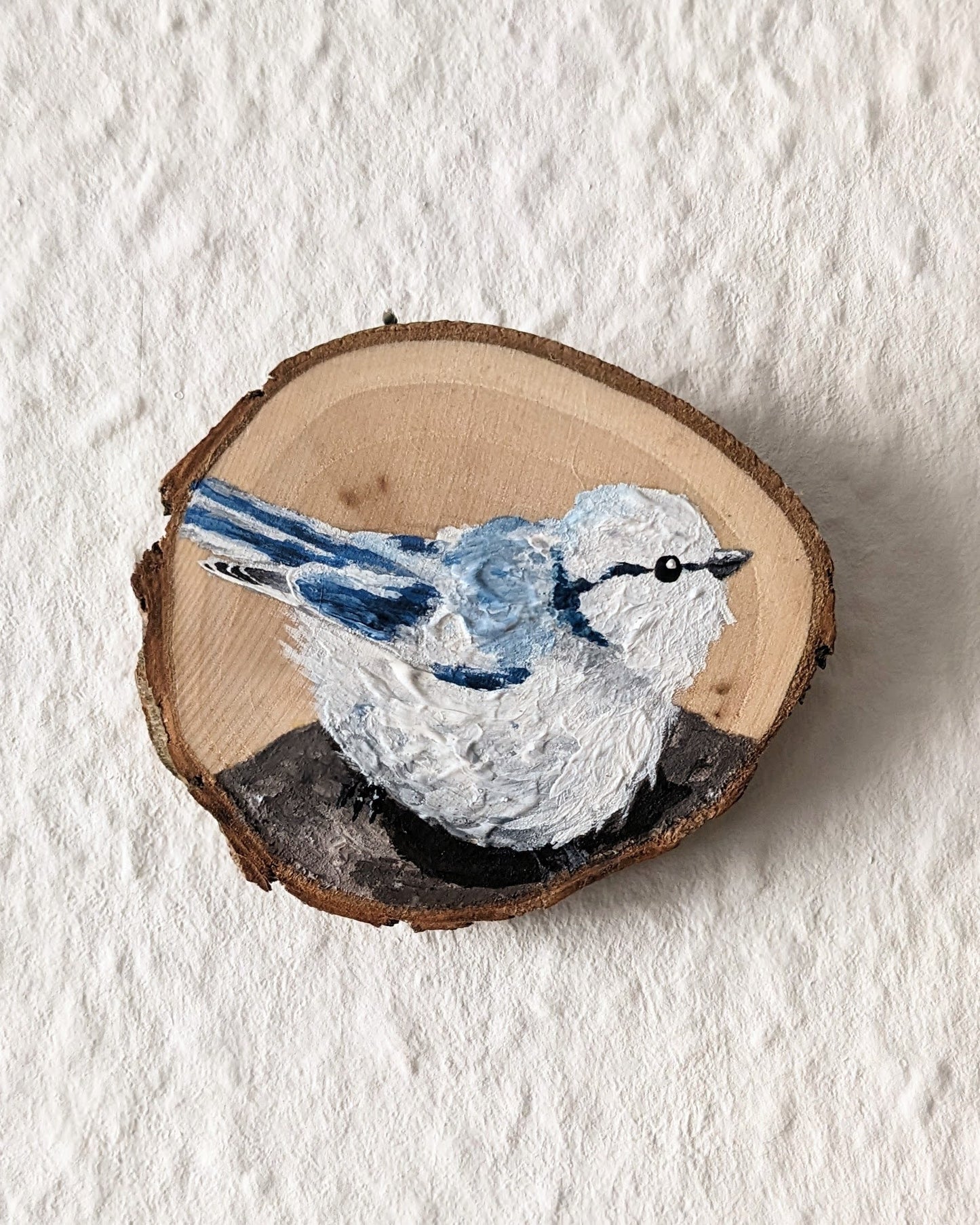 Azure Chickadee