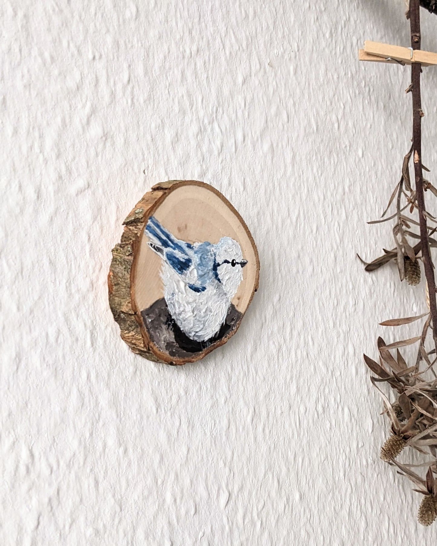 Azure Chickadee