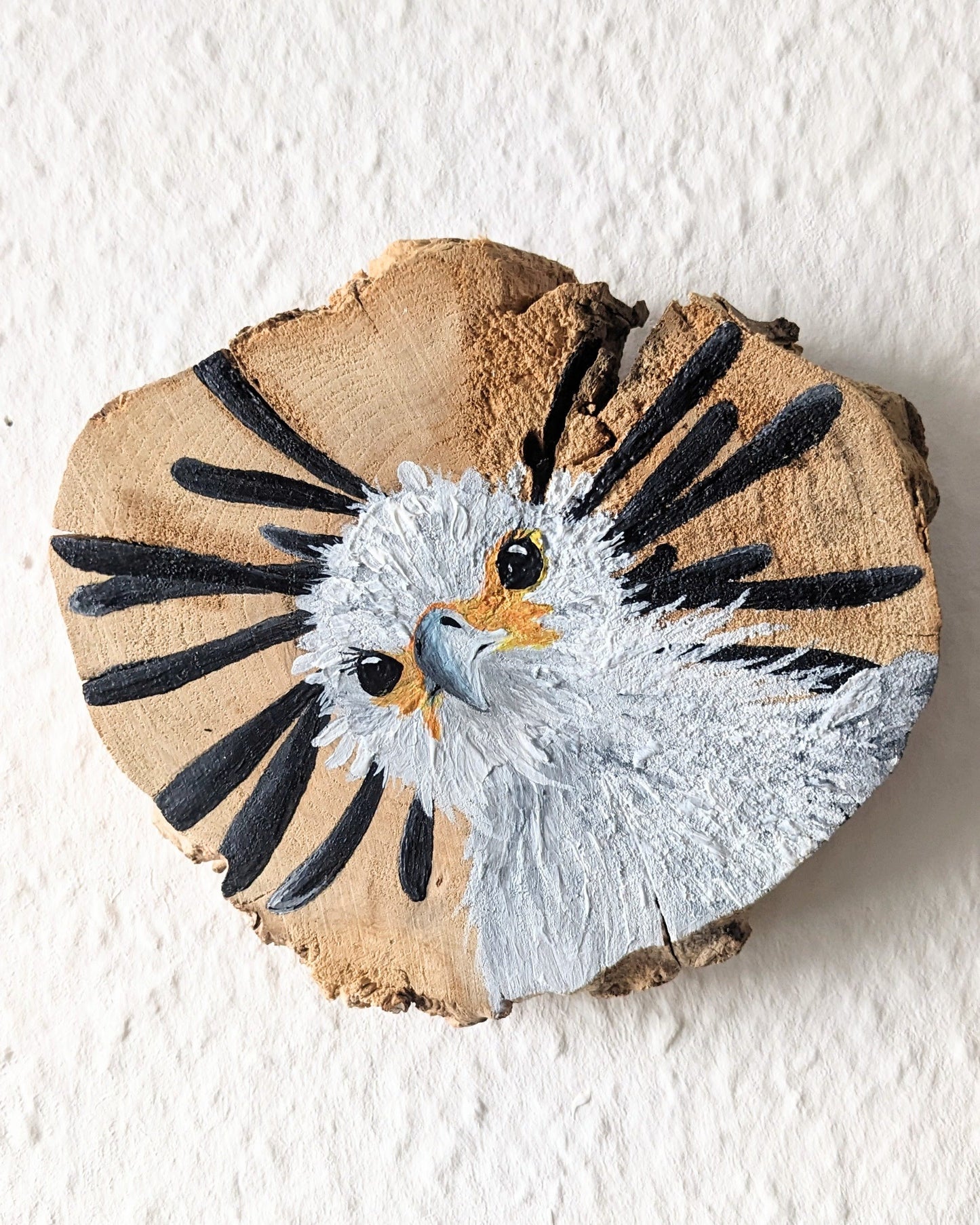 Secretary Bird