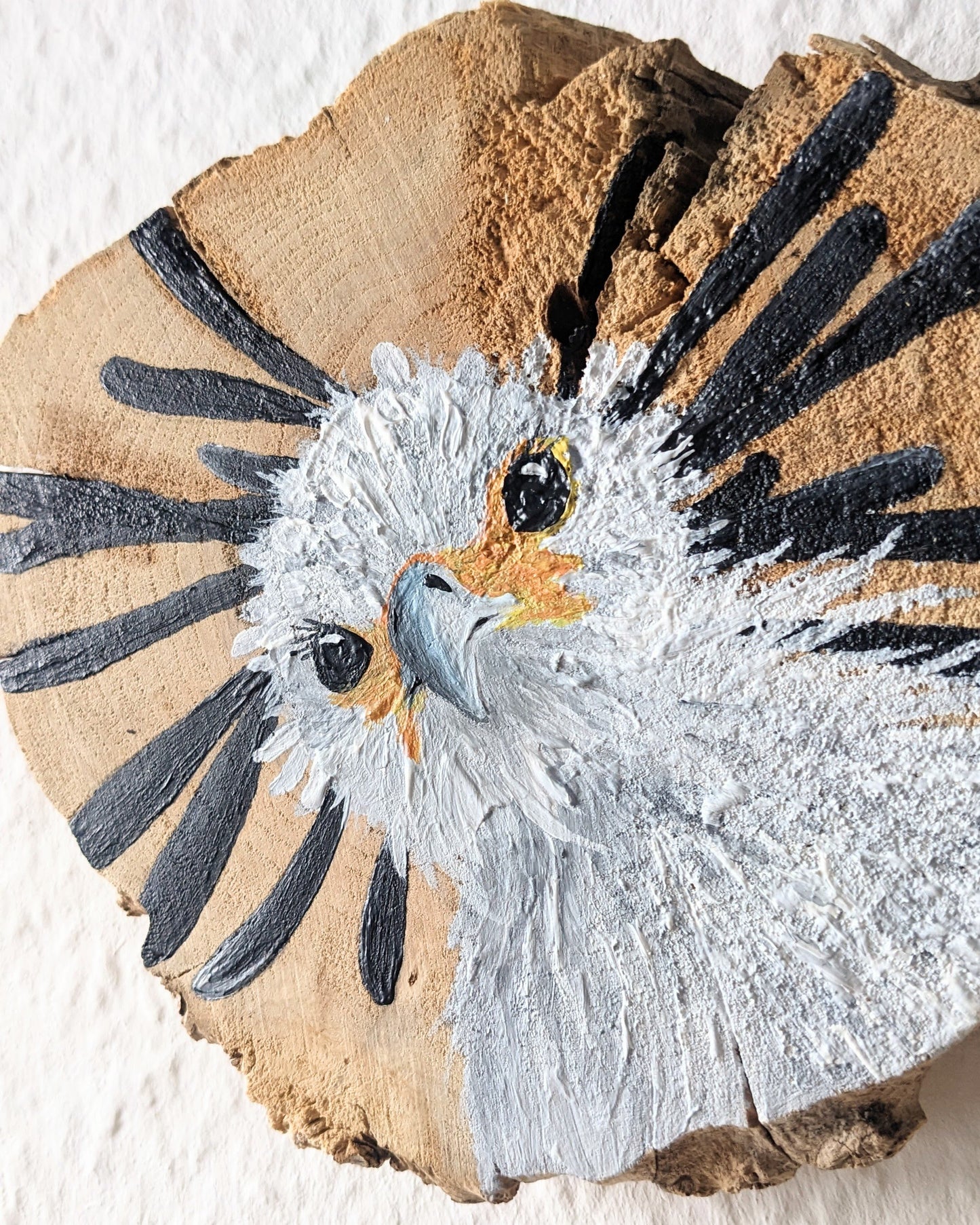 Secretary Bird