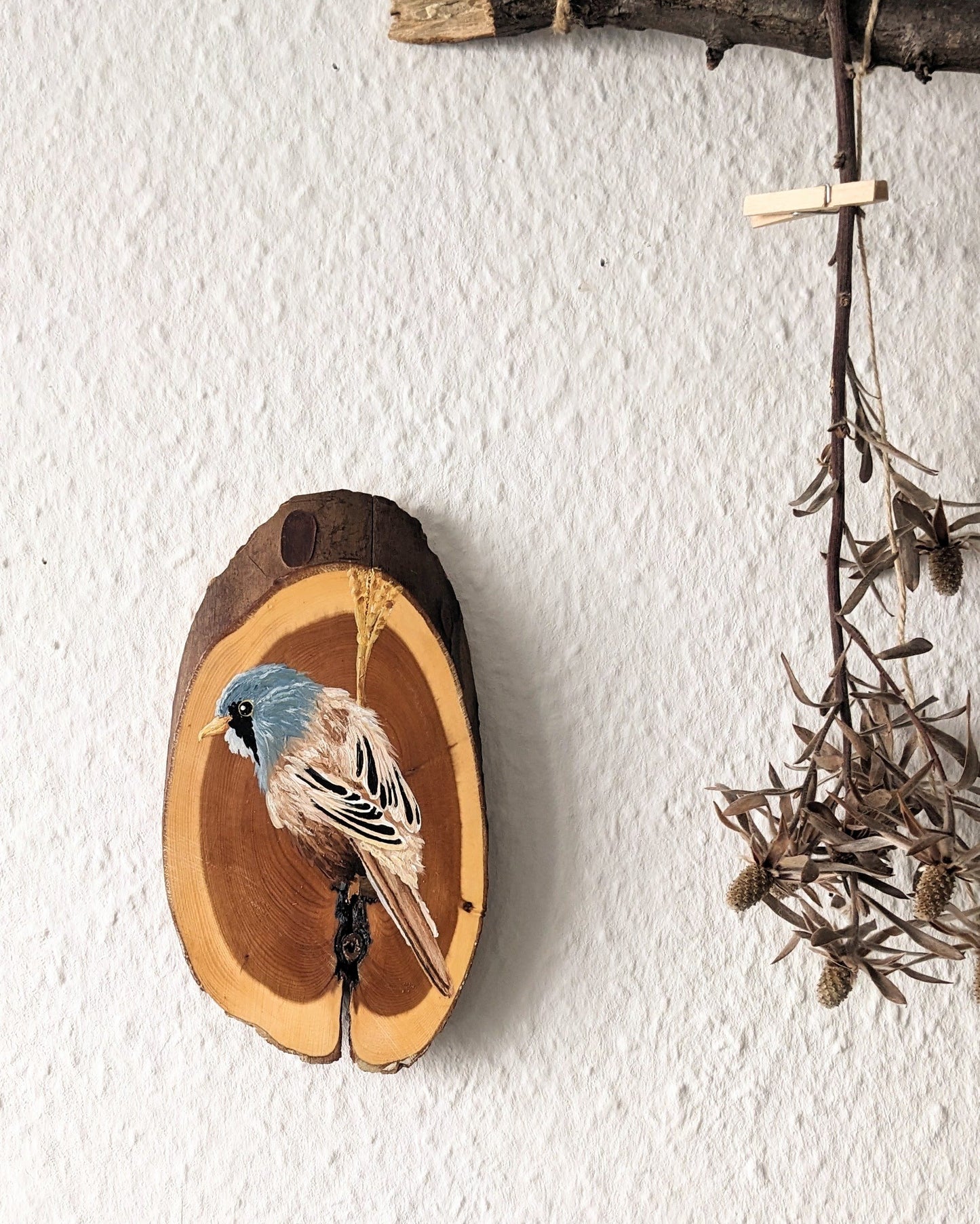 Bearded Reedling