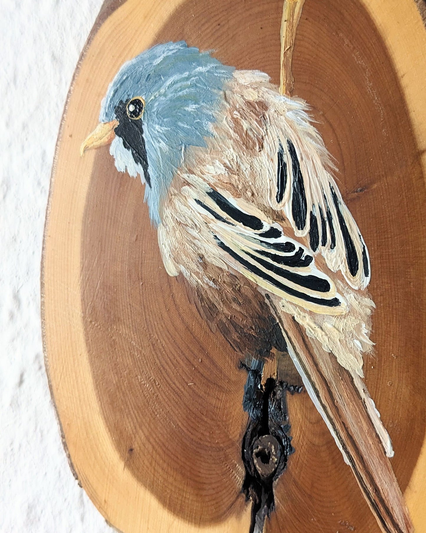 Bearded Reedling