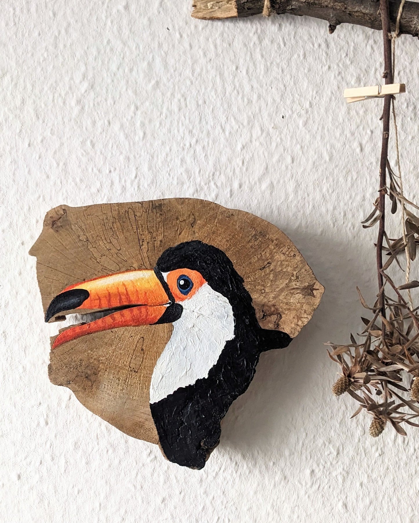 Toucan