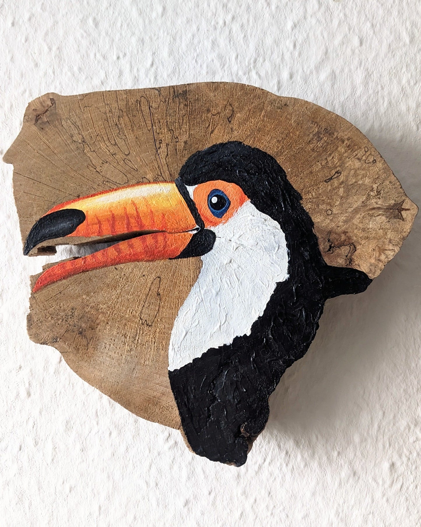 Toucan