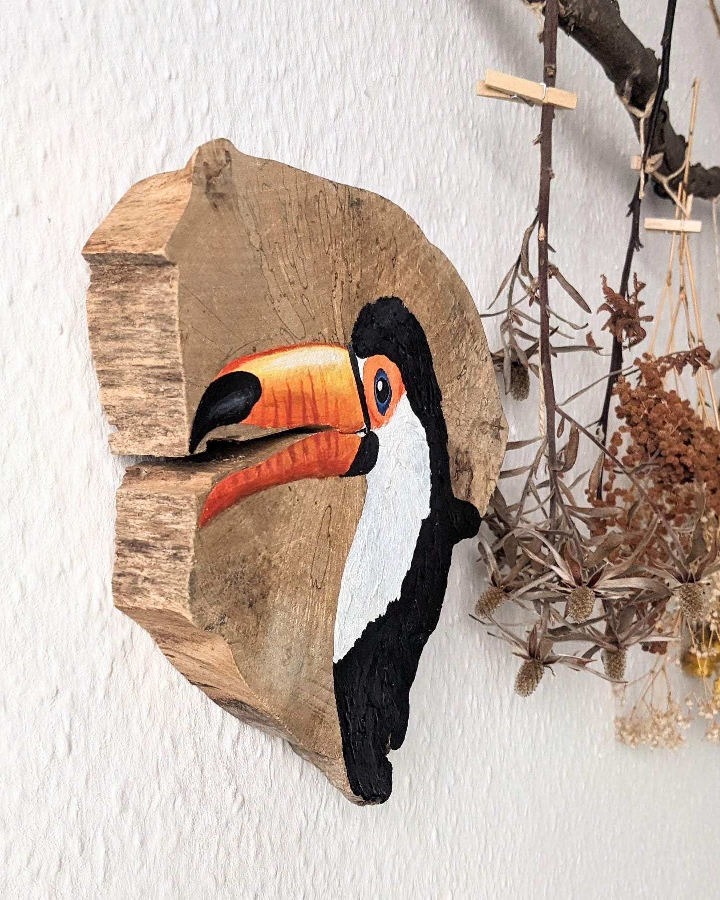 Toucan
