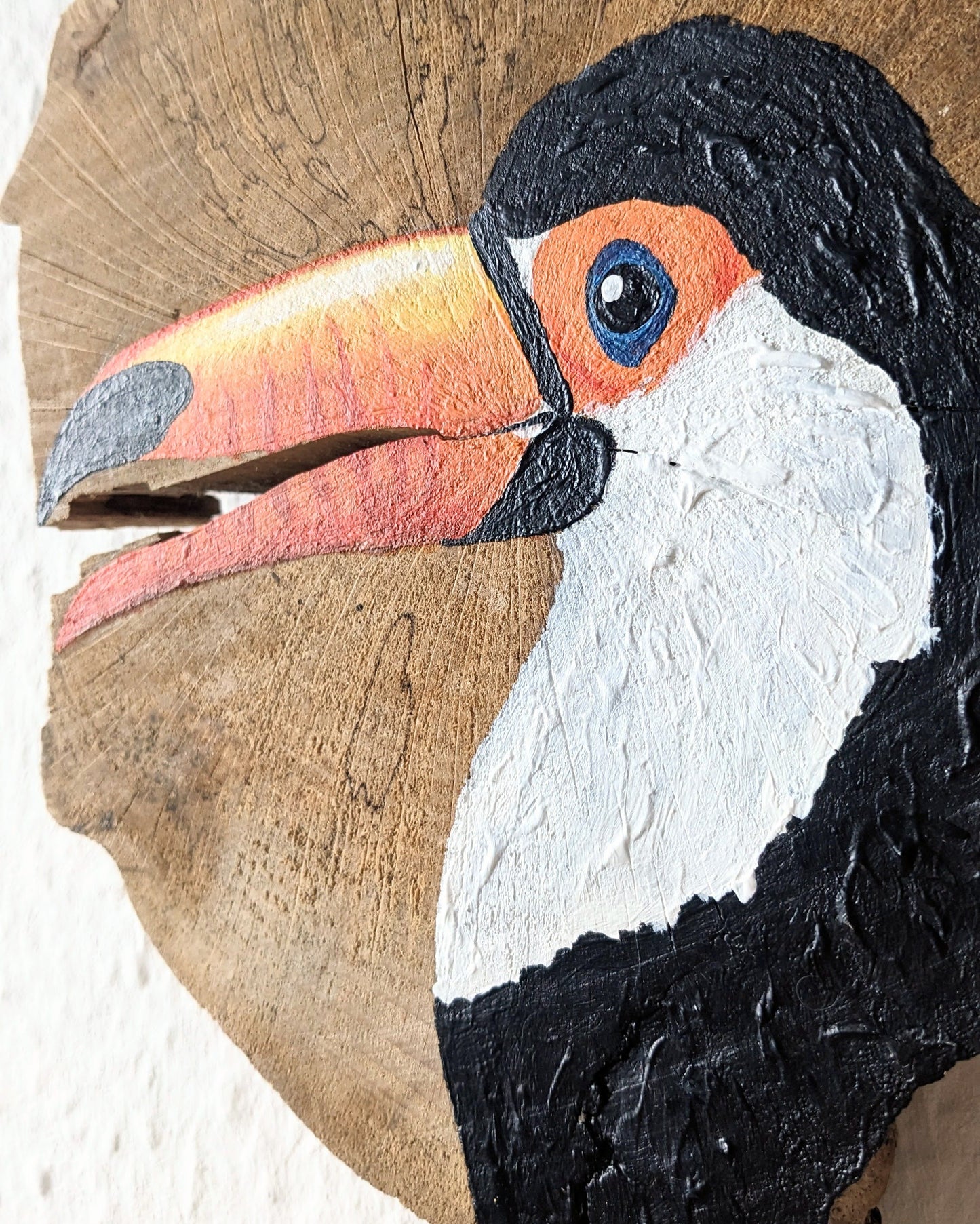 Toucan