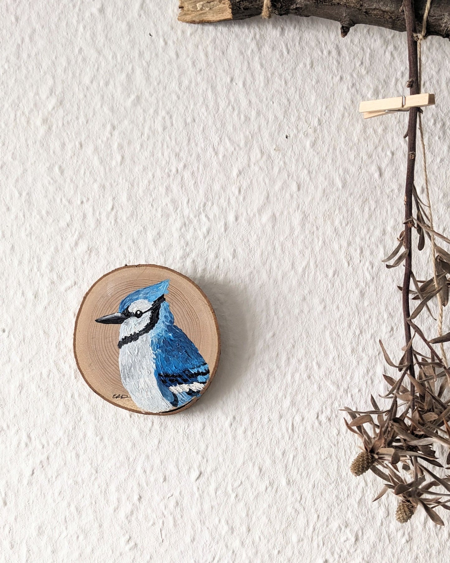 Blue Jay