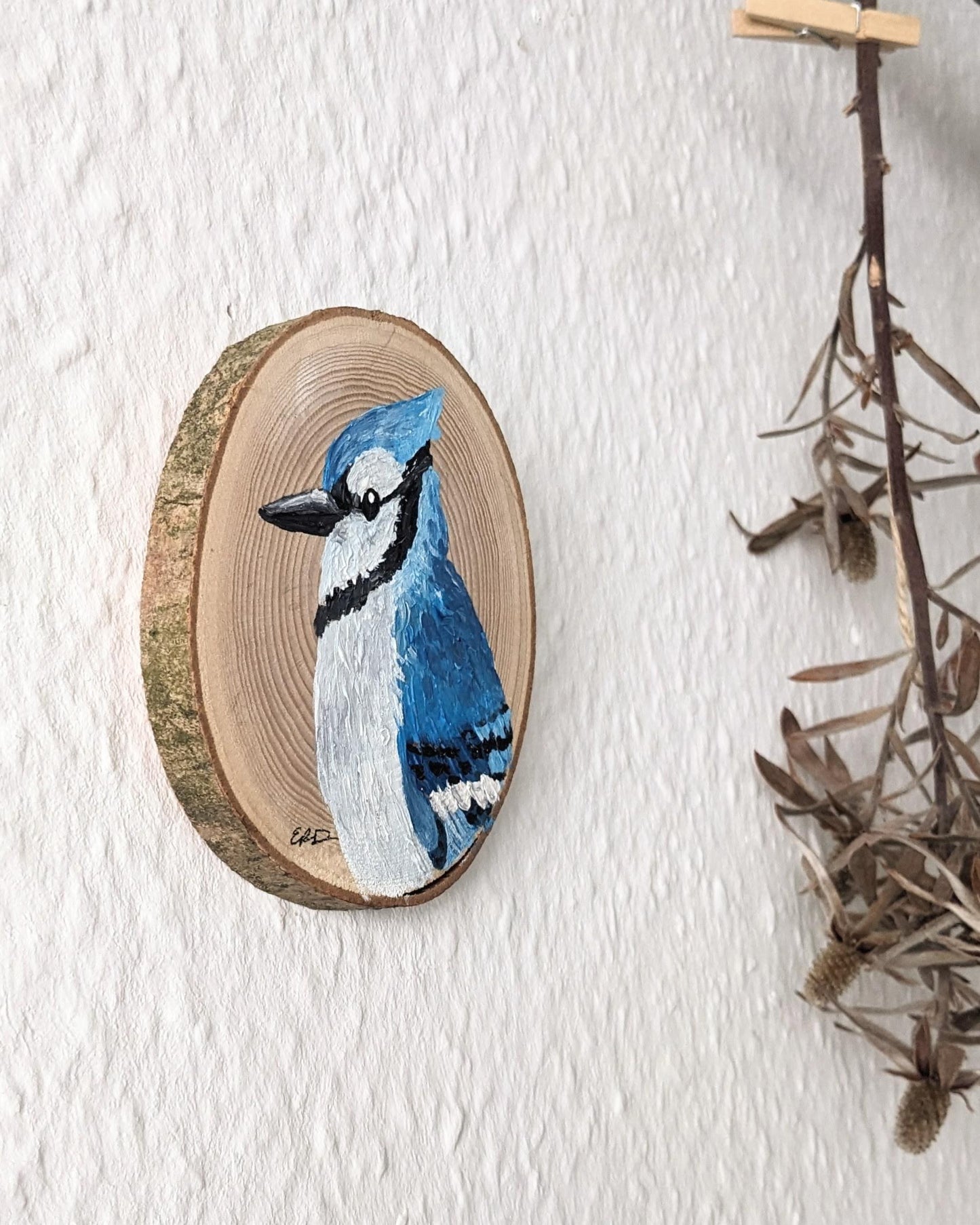 Blue Jay