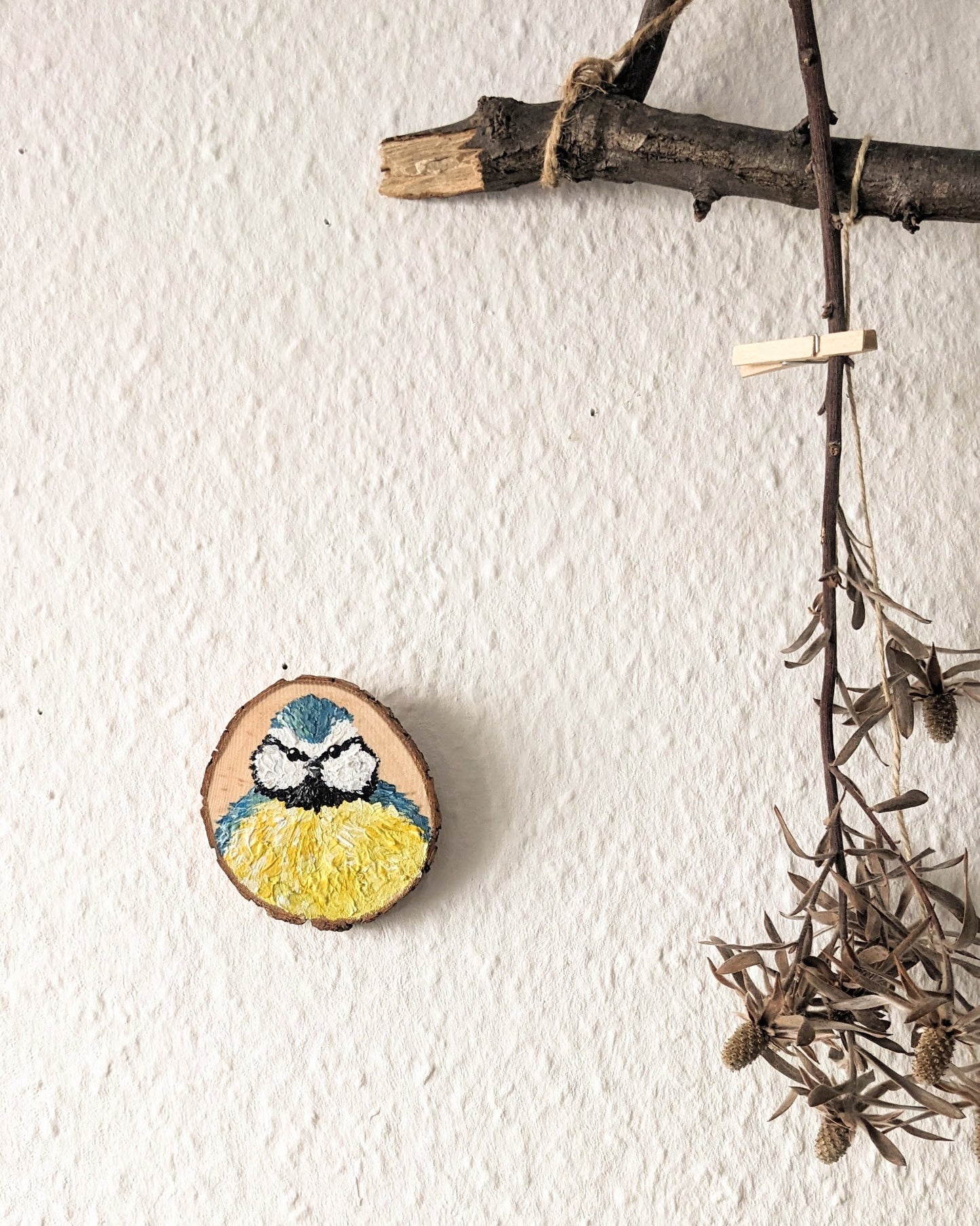 Blue Tit