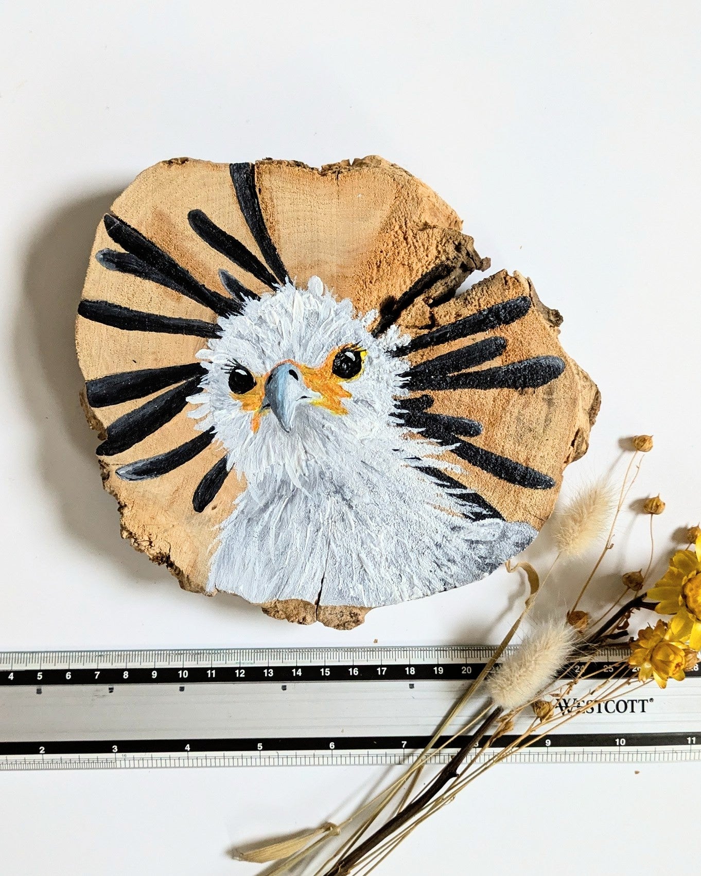 Secretary Bird