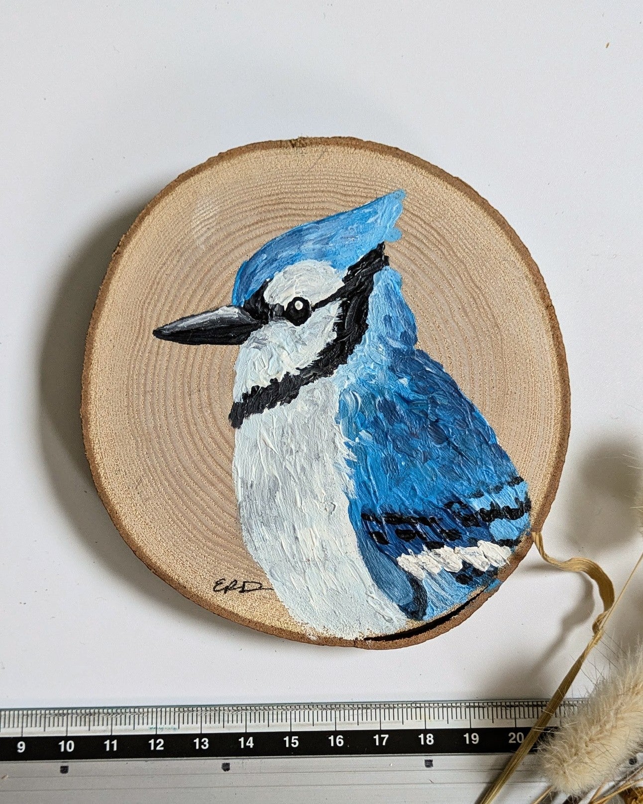 Blue Jay