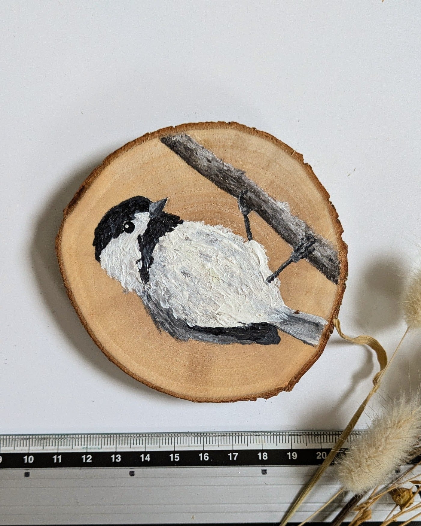 Black Capped Chickadee