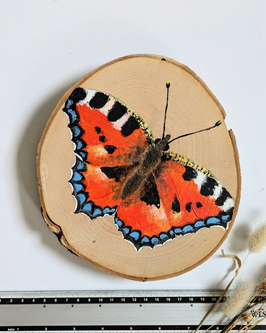 Schmetterling (Kleiner Fuchs)