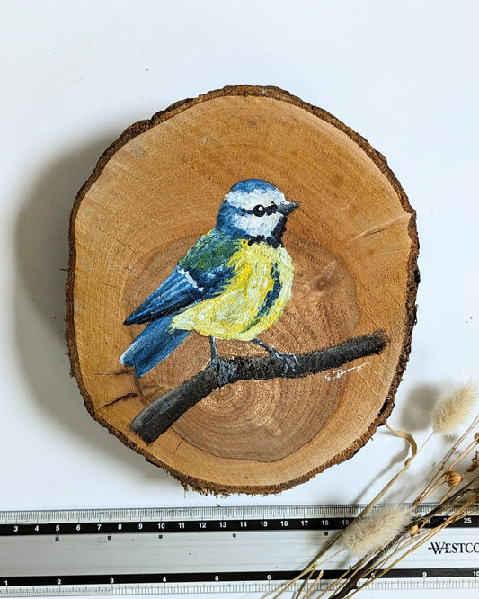Blue Tit