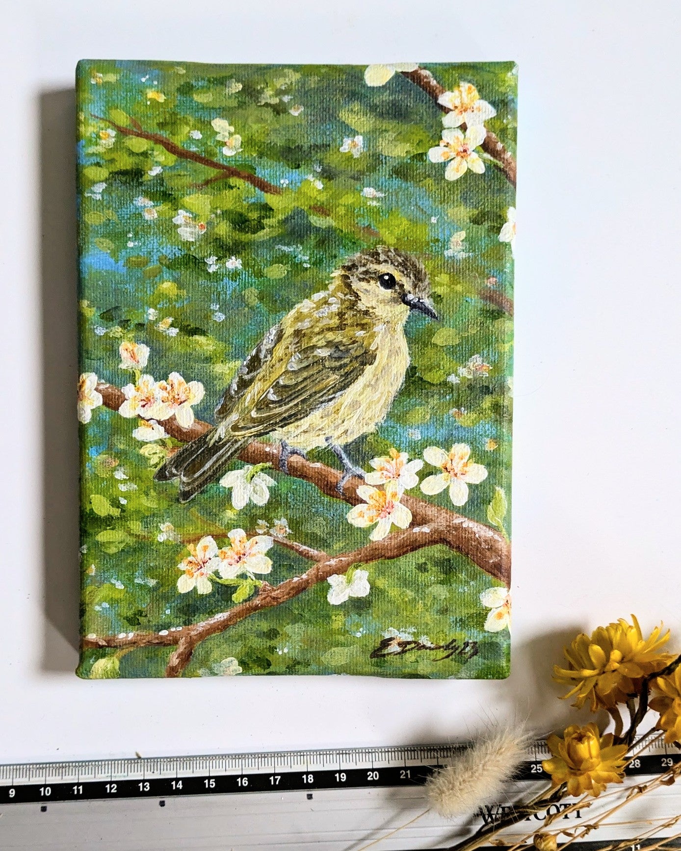 Zilpzalp des Frühlings