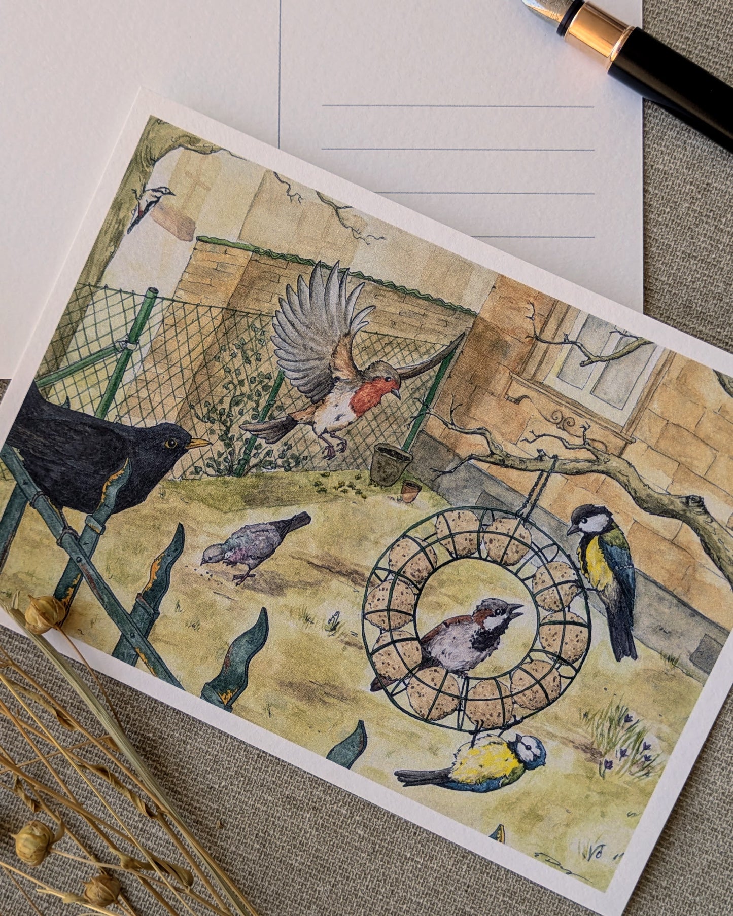 "Backyard Birds" Postcard Print