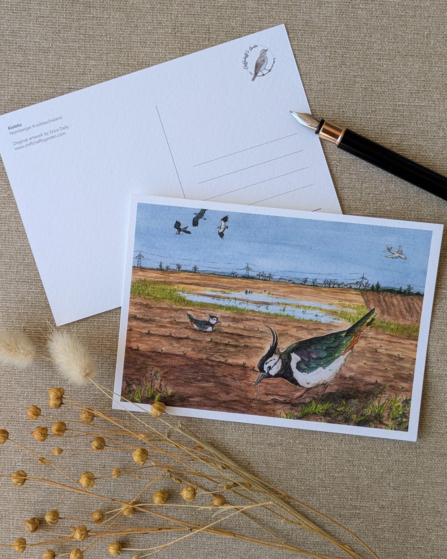 "Northern Lapwing" Postcard Print