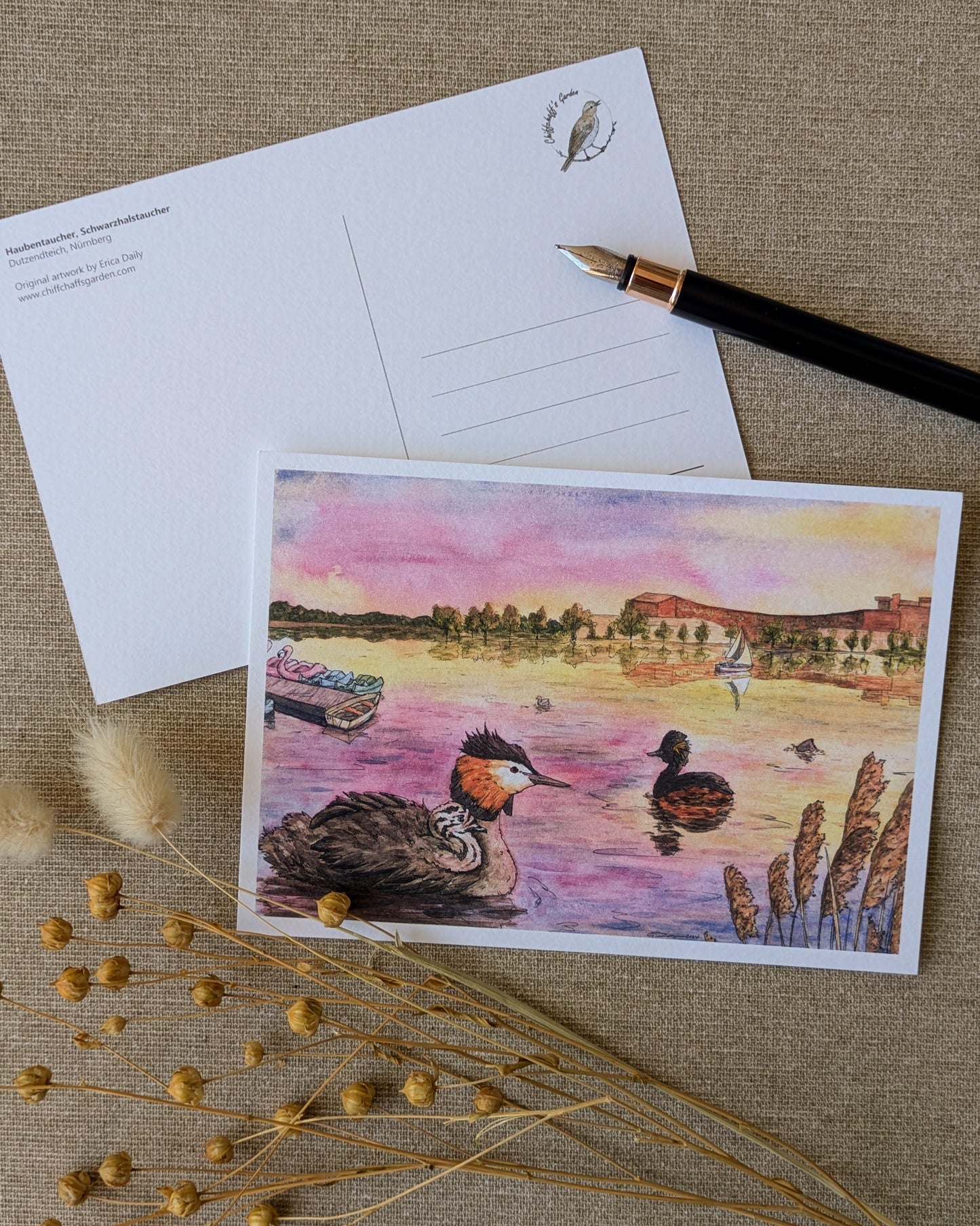 "Grebes on the Water" Postcard Print