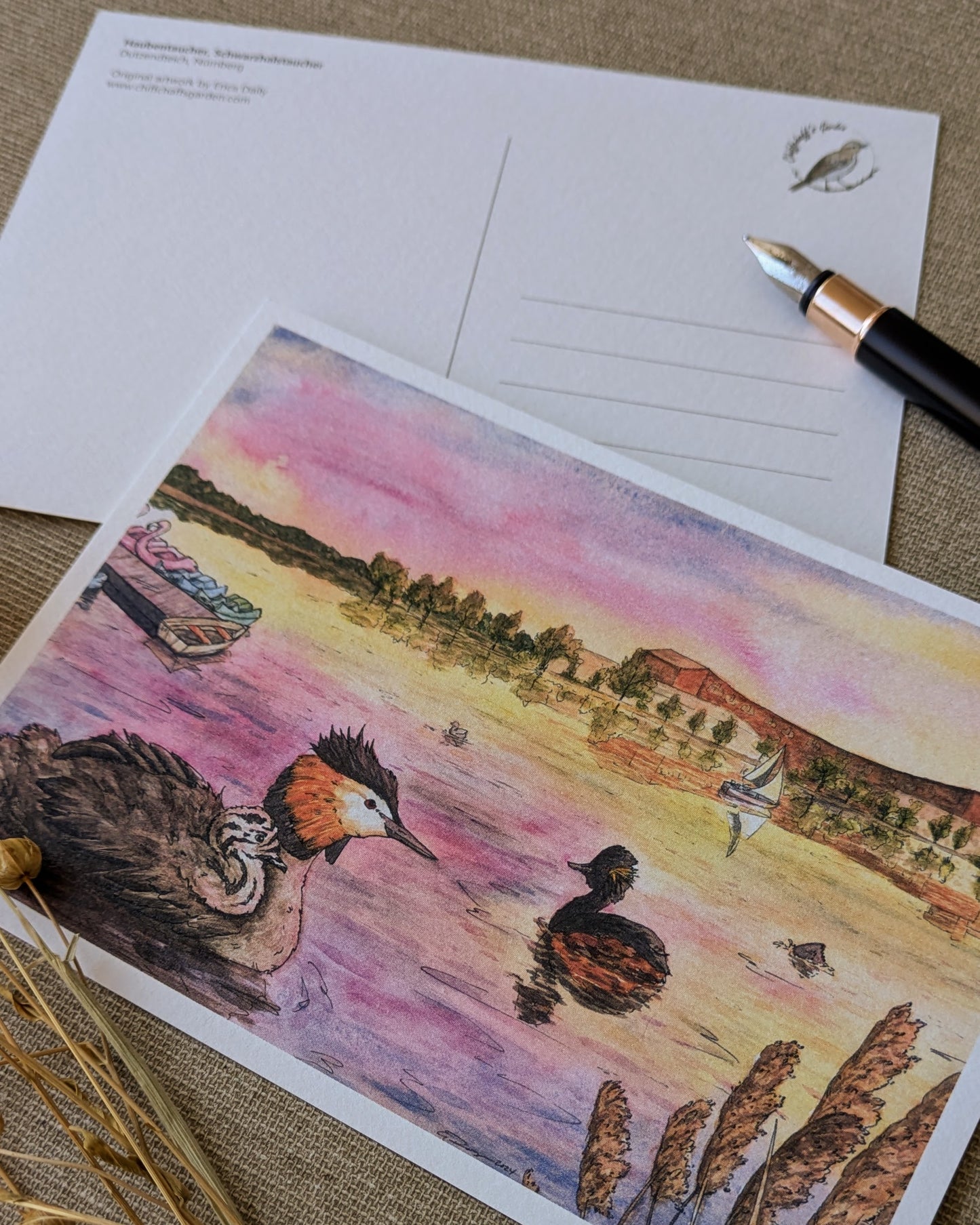 "Grebes on the Water" Postcard Print