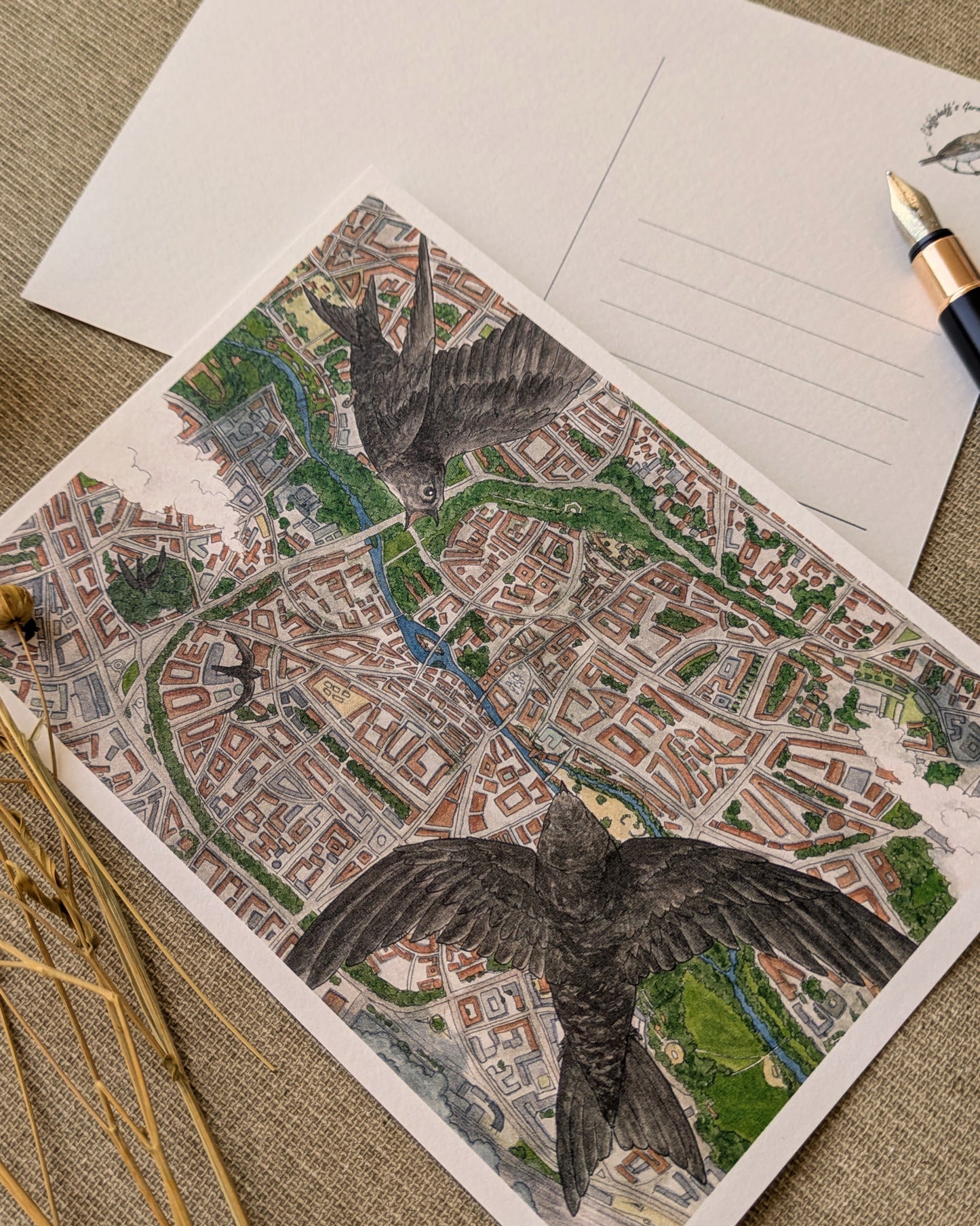 "Swifts over Nuremberg" Postcard Print