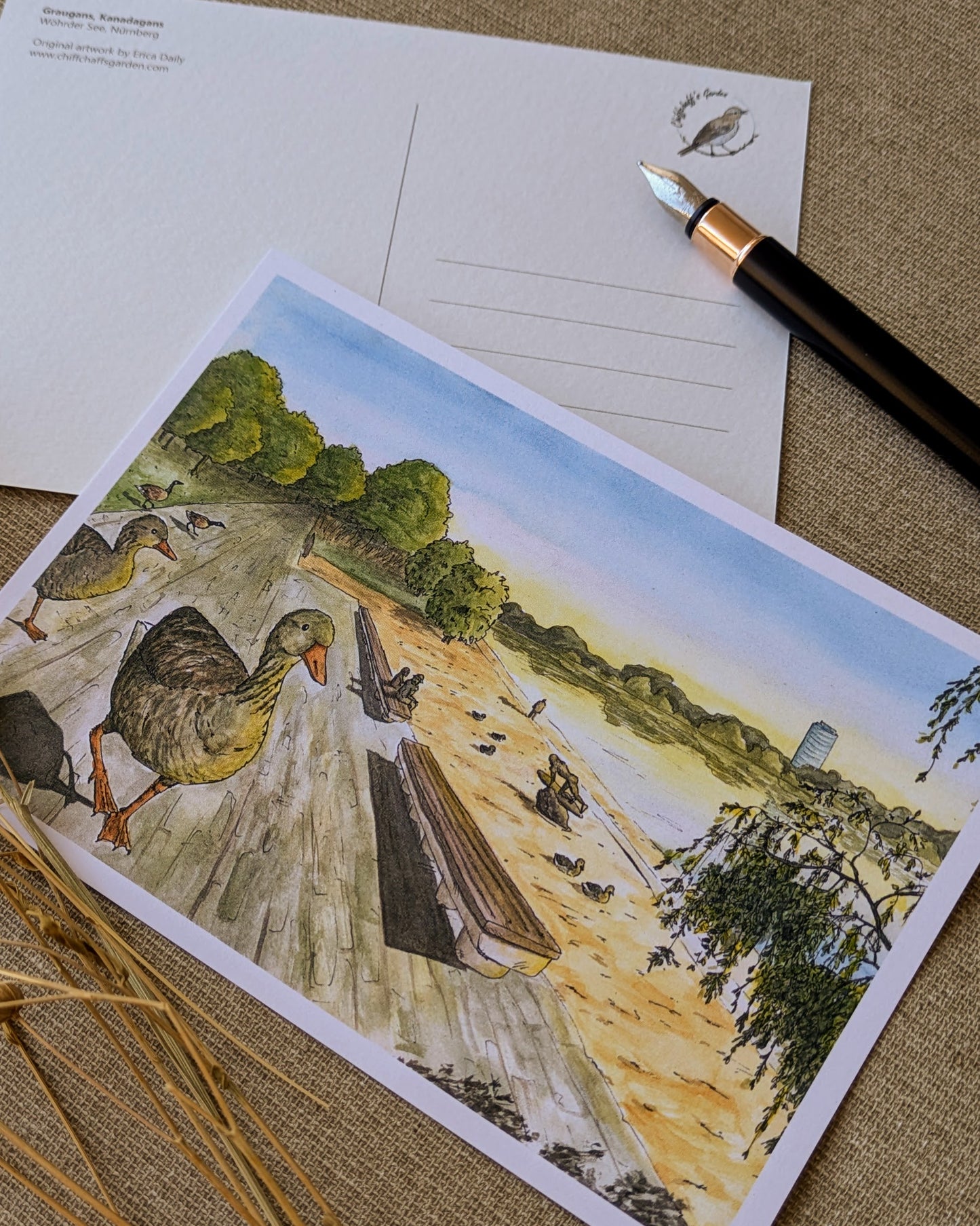 "Geese on the Beach" Postcard Print