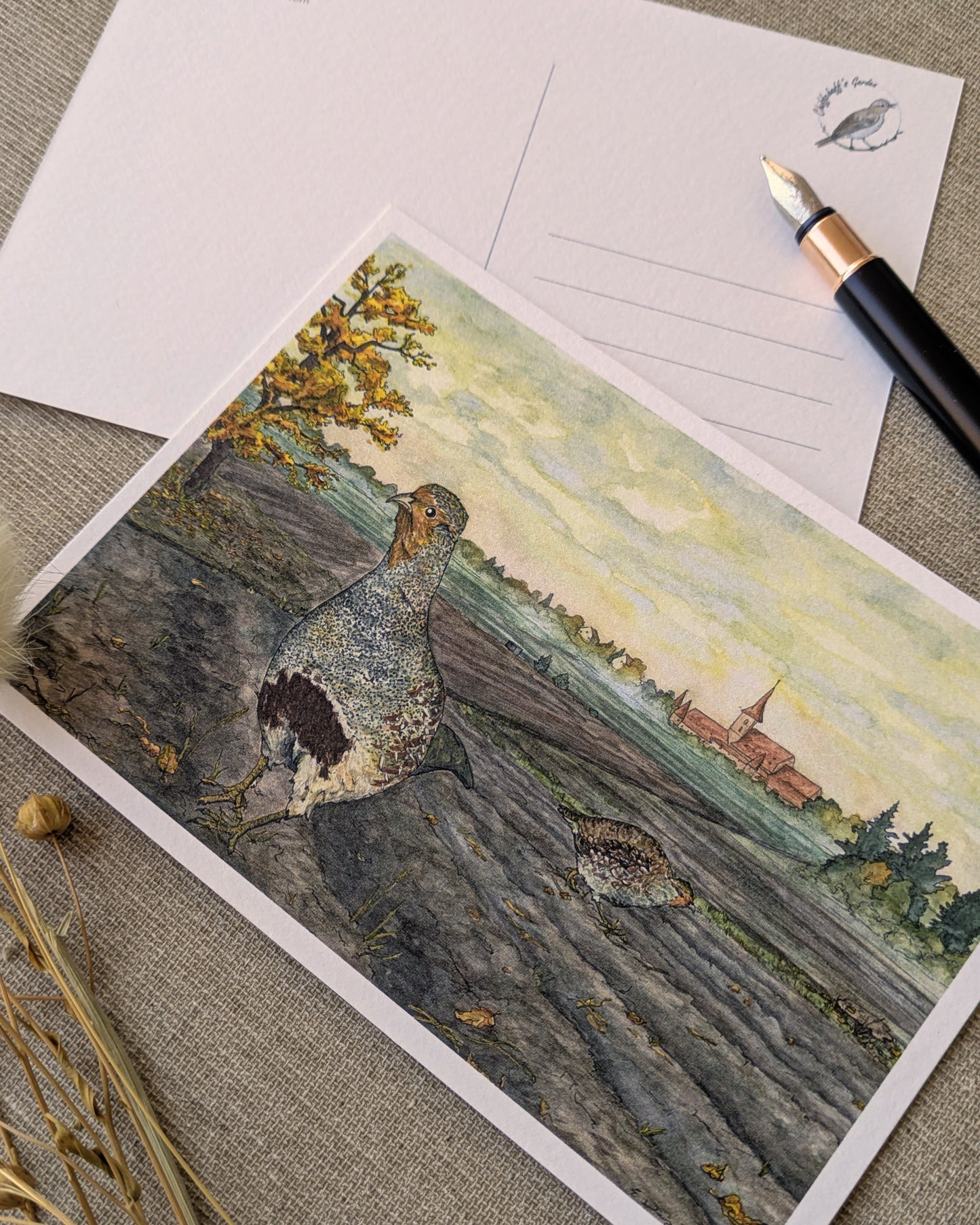 "Partridge in the Field" Postcard Print