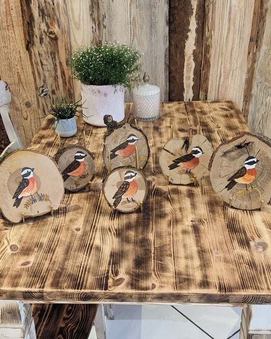 Workshop Rezensionen