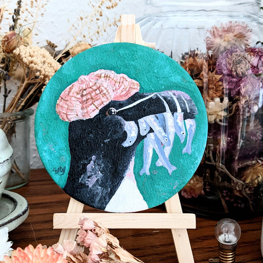 Foodie Razorbill - 10cm