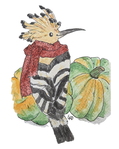 "Happy Hoopoe" Card