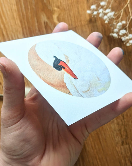 "Silent Swan" Art Print