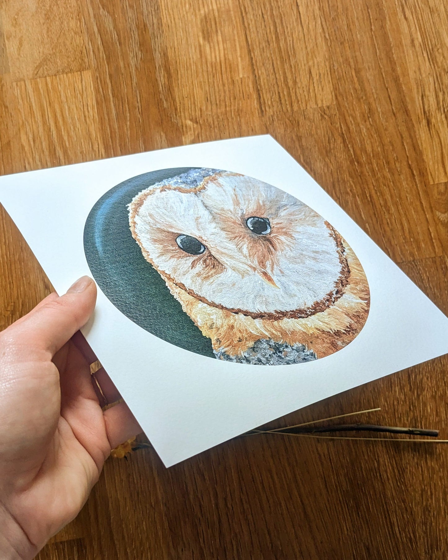 "Beautiful Barn Owl" Art Print