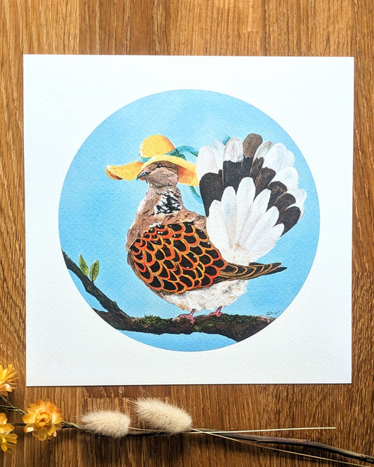 "Summer Dove" Art Print
