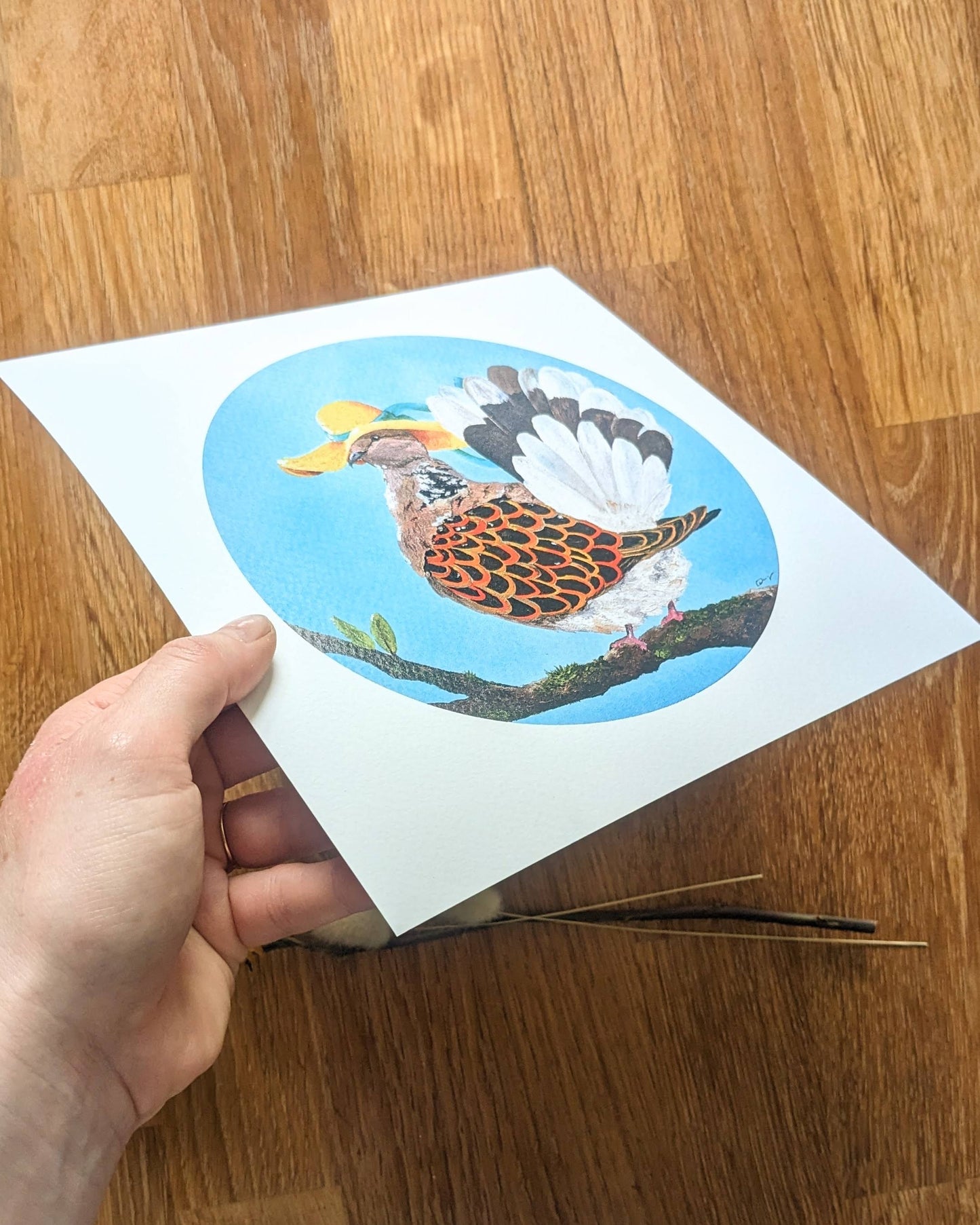 "Summer Dove" Kunstdruck
