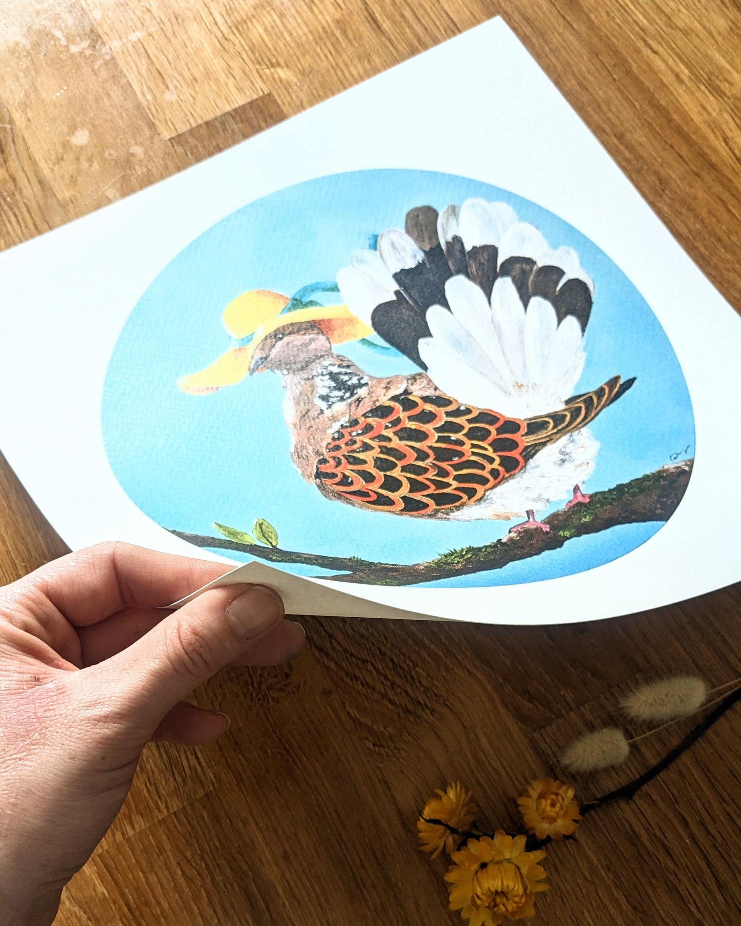 "Summer Dove" Kunstdruck