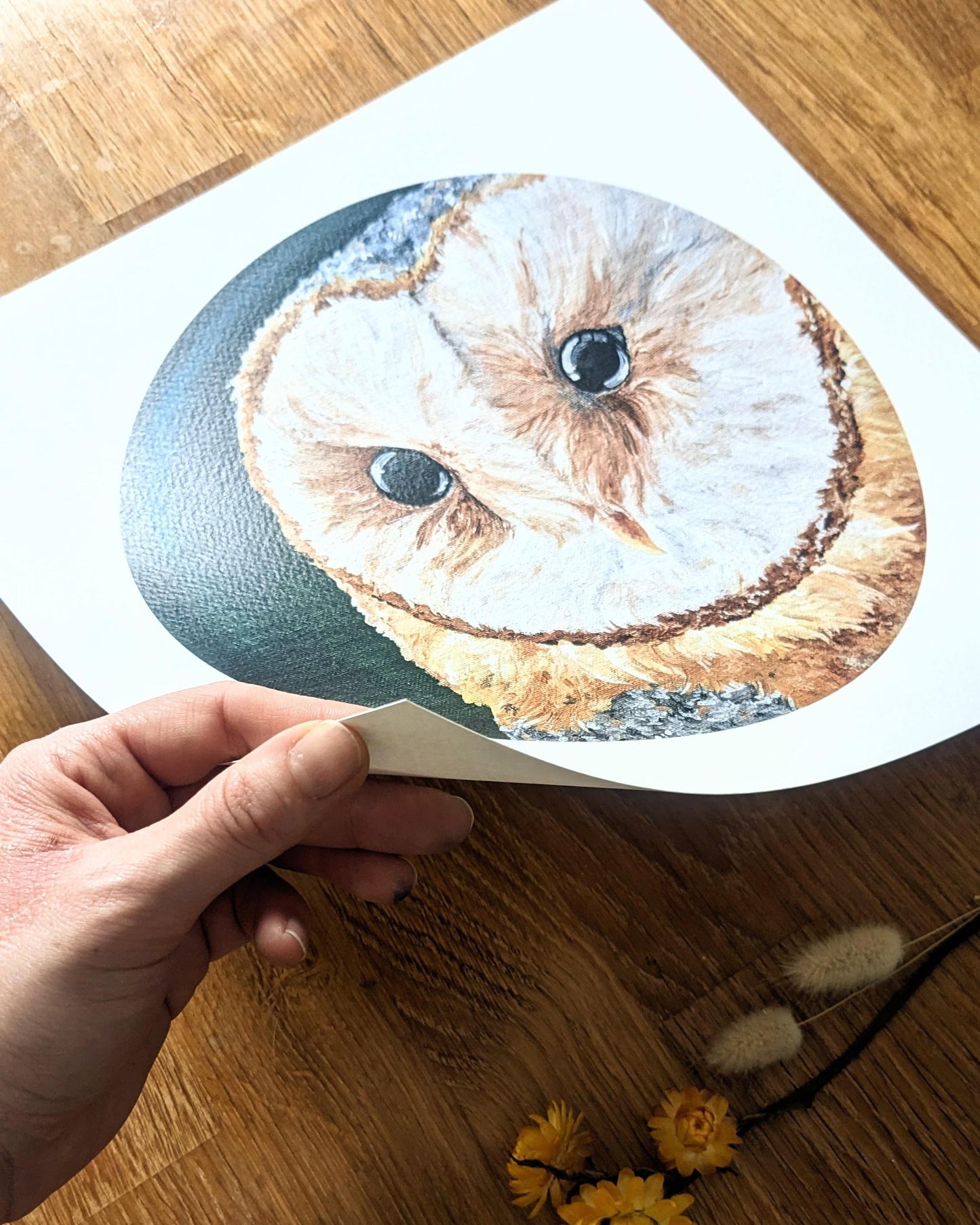 "Beautiful Barn Owl" Art Print