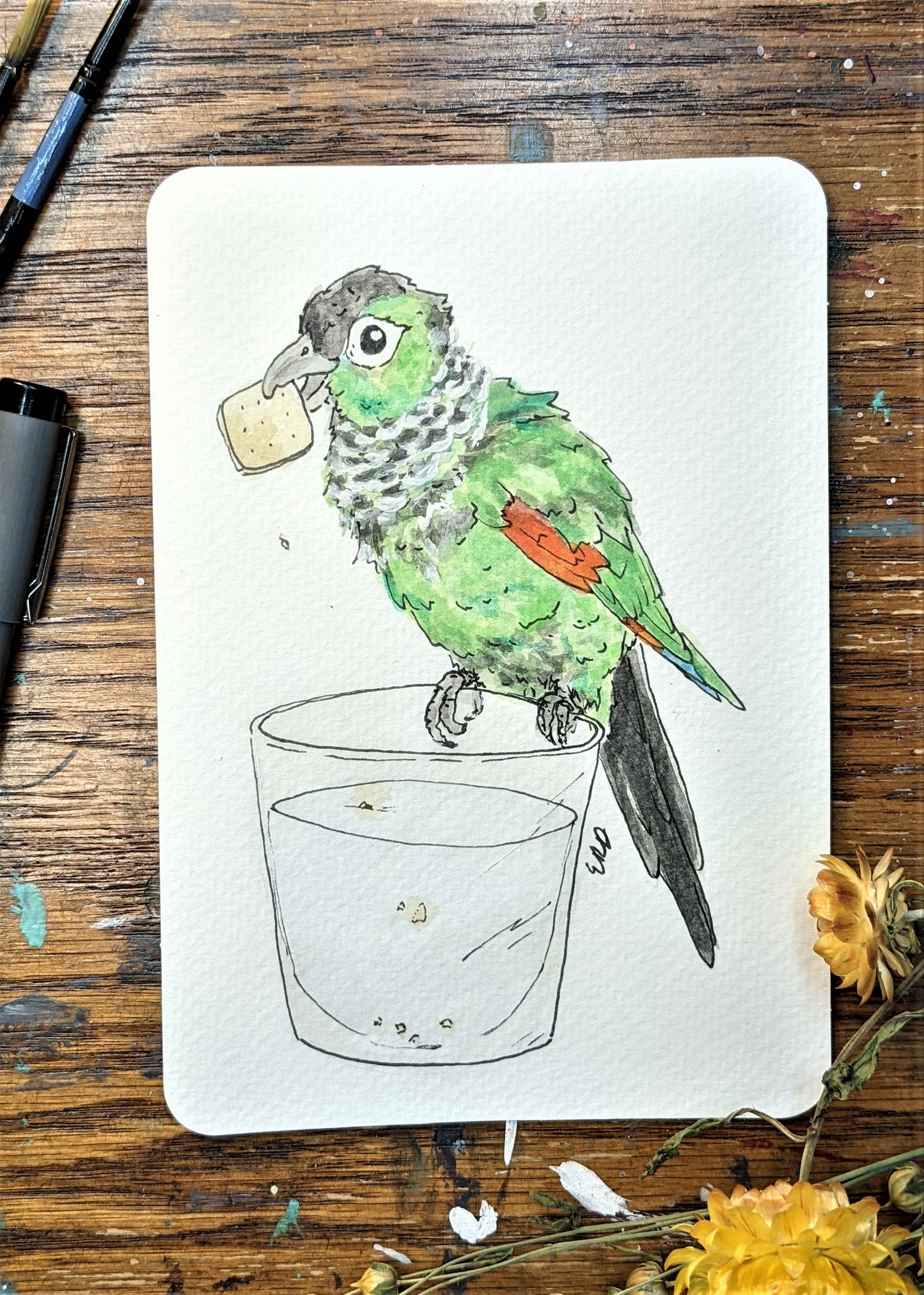 Custom Bird - Small