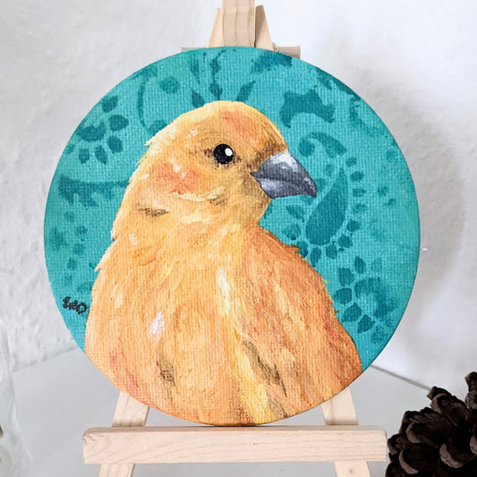 Saffron Finch - 10cm