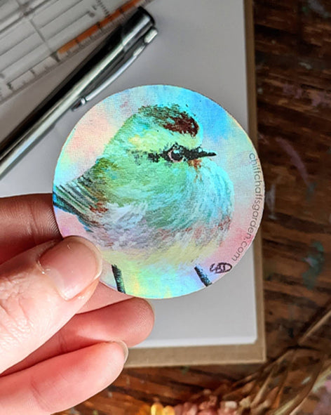Rainbow Fluff Sticker - 5cm - Holographic or Matte
