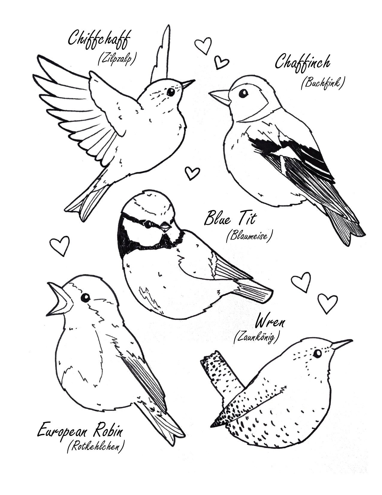 Little Birdies - Printable Coloring Page