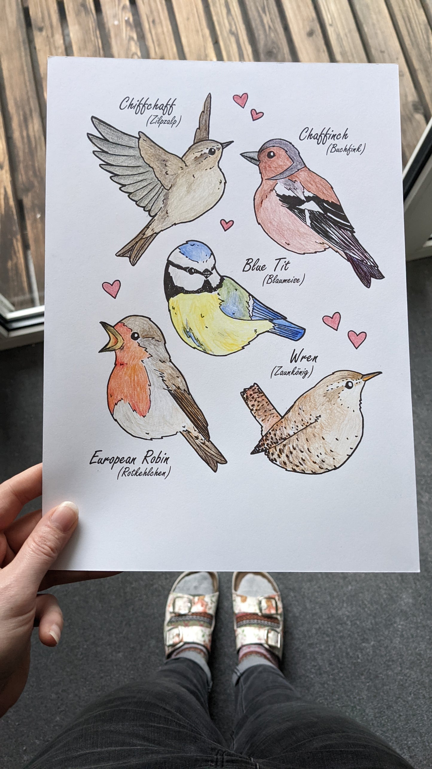 Little Birdies - Printable Coloring Page