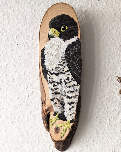 Peregrine Falcon